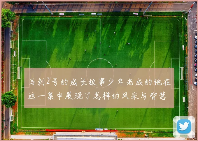 马刺2号的成长故事少年老成的他在这一集中展现了怎样的风采与智慧